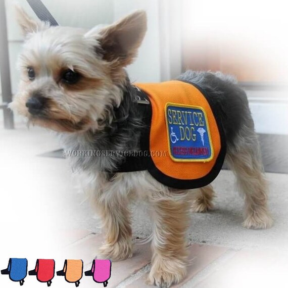 can an esa wear a service dog vest