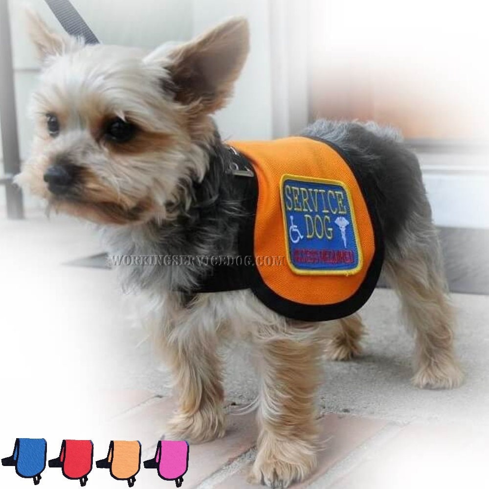tiny service dog vest