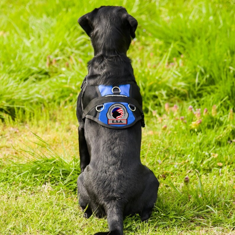 Emotional Support Dog Vest Harness for Small to Large Dogs