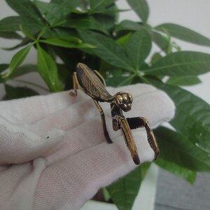May include: A small, gold-coloured metal praying mantis figurine. The figurine is detailed with textured wings and legs.