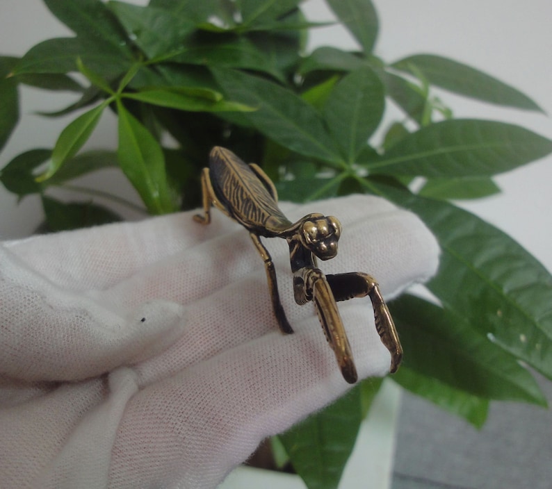 May include: A small, gold-coloured metal praying mantis figurine. The figurine is detailed with textured wings and legs.