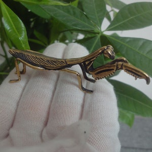 May include: A gold-coloured metal praying mantis figurine. The figurine is detailed with textured wings and legs.