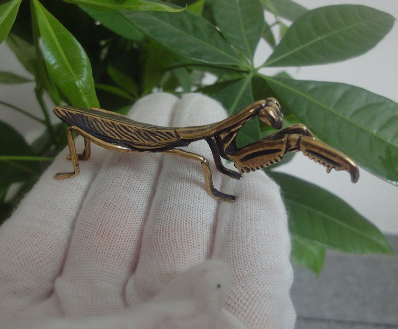 May include: A gold-coloured metal praying mantis figurine. The figurine is detailed with textured wings and legs.