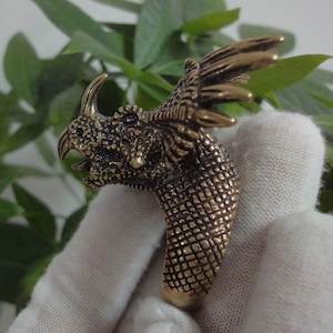 Può includere: Un anello in metallo color oro con un designo dettagliato di testa di dinosauro. Il dinosauro ha un corpo testurizzato e squamoso e un grande corno appuntito sulla testa.