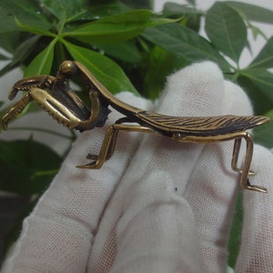 May include: A gold-coloured metal praying mantis figurine. The figurine is detailed with intricate lines and has a realistic appearance.
