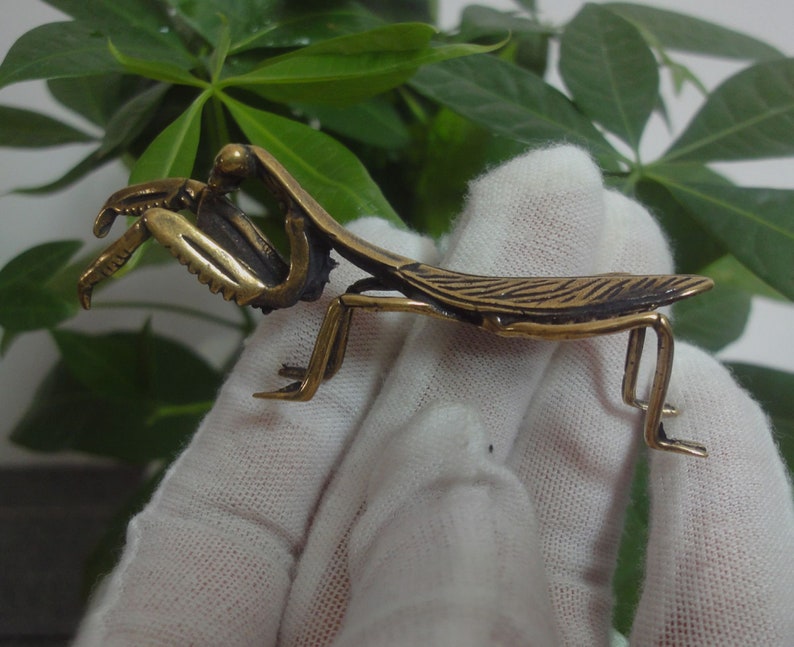 May include: A gold-coloured metal praying mantis figurine. The figurine is detailed with intricate lines and has a realistic appearance.