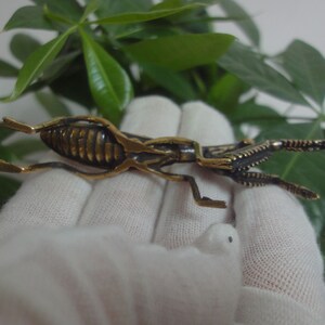 May include: A gold-coloured metal figurine of a praying mantis with detailed legs and body. The figurine is posed with its front legs raised in a praying position.
