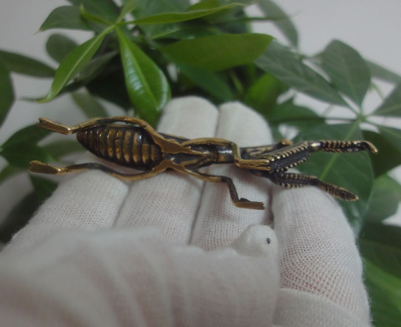 May include: A gold-coloured metal figurine of a praying mantis with detailed legs and body. The figurine is posed with its front legs raised in a praying position.
