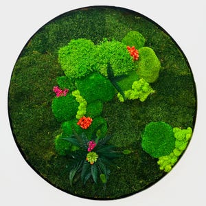 Preserved Moss Wall Art Round Frame, Vertical Indoor Garden with Natural Cork Bark, Botanical Nature Decor for Living Room or Office