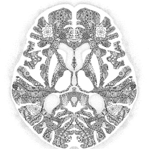 PRINTS: Neuroscience brain anatomy flowers