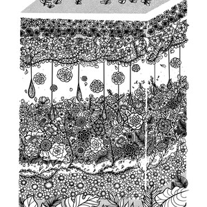 PRINTS: atomy Series Flowers Dermatology Skin