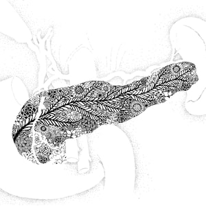 PRINTS: Anatomy Series Flowers Pancreas