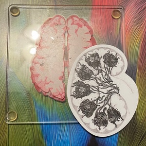 STICKERS: Left Kidney Flowers