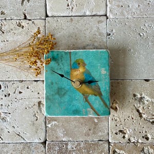 May include: Square wall clock featuring a teal background and a vibrant bird illustration. The bird, in yellow, blue, and green, is perched on a branch. The clock has black hands and a gold-coloured centre.