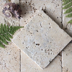 May include: A square beige travertine tile with a porous, natural stone texture, positioned diagonally over a grid of identical tiles, accompanied by a brown spiral seashell and two green fern fronds placed on the stone surface.