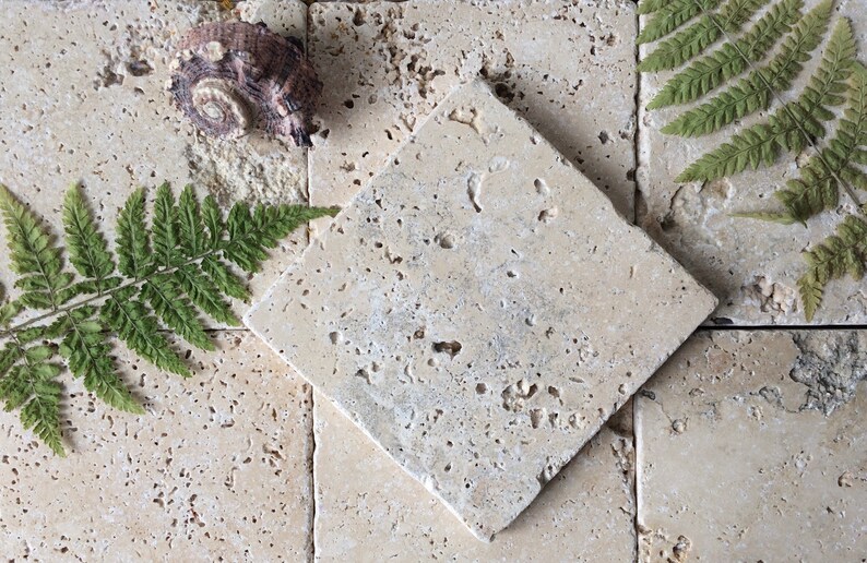 May include: A square beige travertine tile with a porous, natural stone texture, positioned diagonally over a grid of identical tiles, accompanied by a brown spiral seashell and two green fern fronds placed on the stone surface.