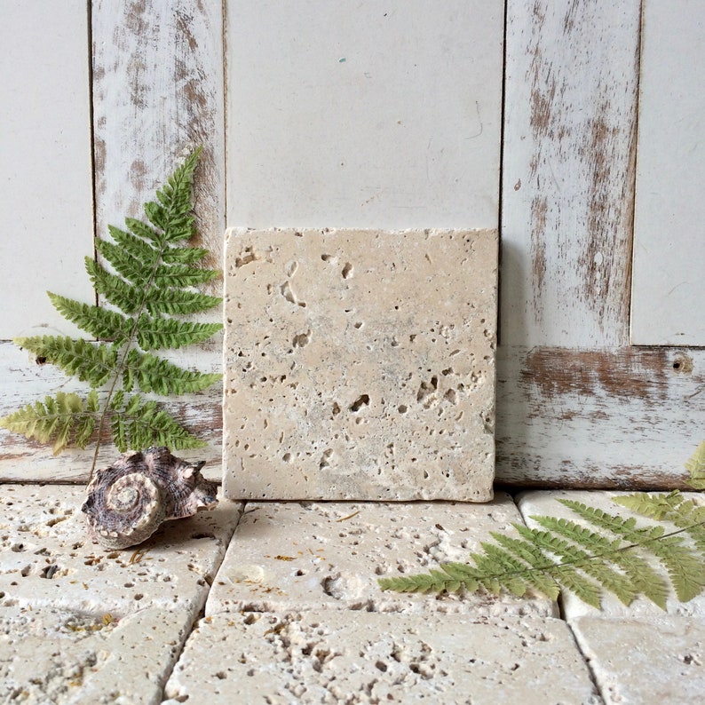 May include: A square, beige travertine stone tile with a porous, natural surface texture. The tile is positioned upright next to a small, spiraled brown seashell and a green fern leaf, resting on a base of identical travertine stone tiles.