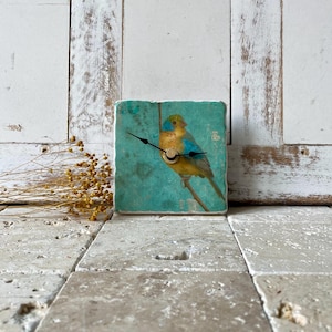 May include: Square clock with a teal background featuring a colourful bird illustration. The bird has yellow, blue, and green feathers. The clock hands are black, and the clock face is a light wood colour. The clock is sitting on a stone surface.