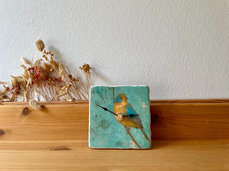 May include: Square clock with a teal background featuring a colourful bird illustration. The bird is perched on a branch, with blue, yellow, and orange hues. The clock hands are black. The clock is on a wooden surface.
