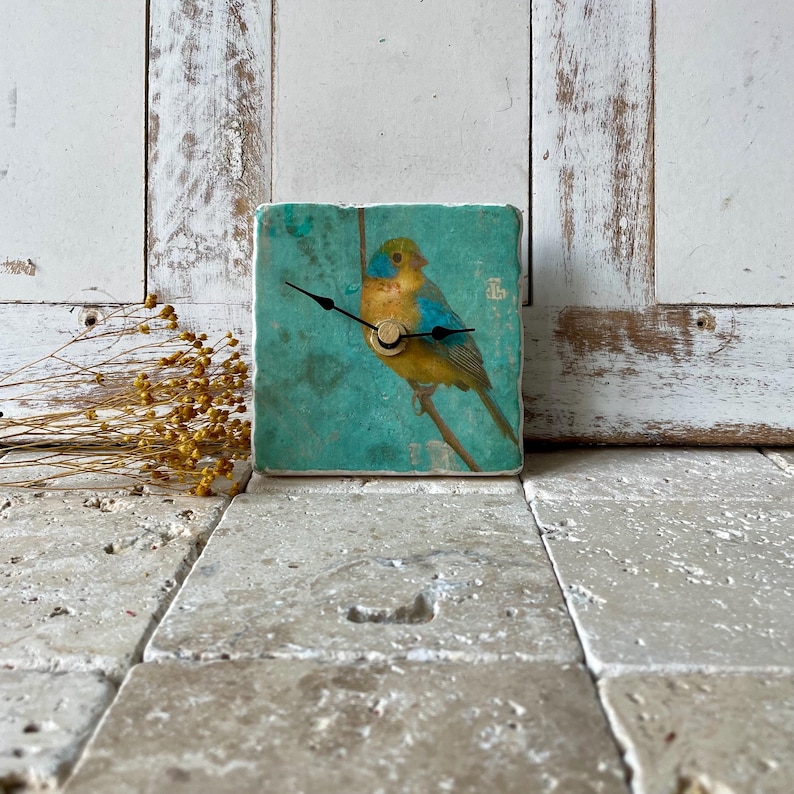 May include: Square clock with a teal background featuring a colourful bird illustration. The bird has yellow, blue, and orange tones. The clock hands are black, and the clock face has a gold-coloured centre.