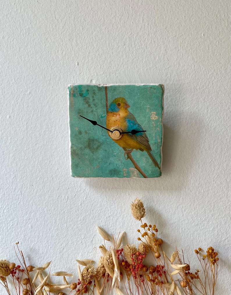 May include: Square wall clock with a bird illustration on a teal background. The clock has black hands and a gold-coloured centre. The clock is mounted on a white wall, with dried flowers at the bottom.