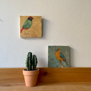 Könnte beinhalten: Zwei gerahmte Vogel-Illustrationen an einer weißen Wand. Die obere Illustration zeigt einen grünen und roten Vogel mit schwarzem Kopf. Die untere Illustration zeigt einen gelben und blauen Vogel auf einem Ast. Ein Topf-Kaktus steht auf einem Holzregal unter den Illustrationen.