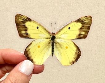 Sulphur Butterfly Sticker, Clear Die Cut, Weatherproof