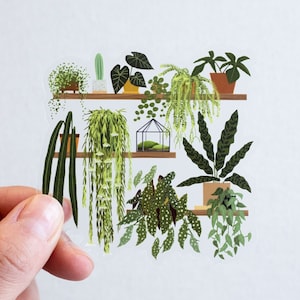 May include: A clear sticker featuring a collection of potted plants on shelves. The plants are a variety of greens and include a cactus, a fern, and a snake plant.