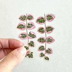 May include: Two sheets of clear stickers with pink and green leaves. The stickers feature a repeating pattern of leaves with pink edges and green centers. The text "Living Greenery" is printed on the top of one of the stickers.