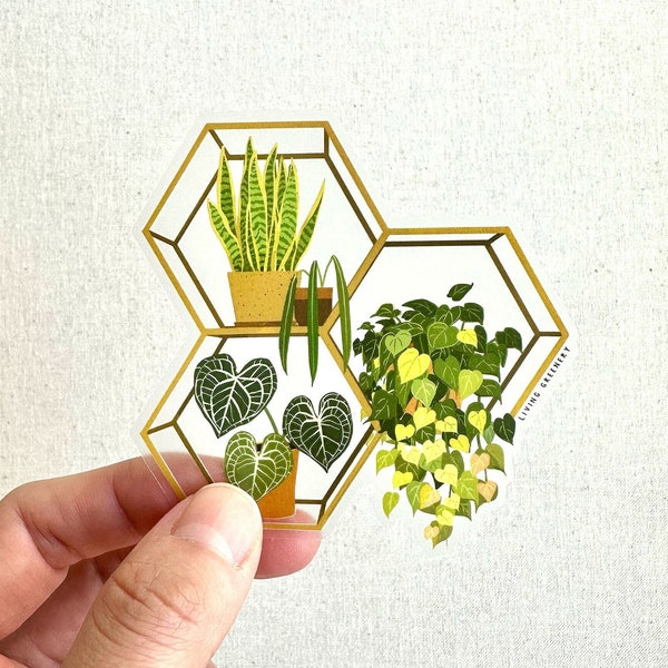 NEW!! Clear Plants on Hexagon Floating shelves Sticker, Plant Mom, Plant Stickers, Laptop Sticker, Weatherproof Sticker, Die Cut Sticker