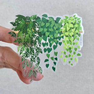 Adhesivo transparente para estante de plantas Pothos, troquelado resistente a la intemperie.