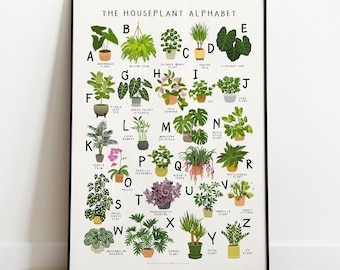 Houseplant Alphabet  Print, Houseplant A-Z, House Plant Poster, House Plant Wall Art, Plant Lover gift, Botanical Art Print