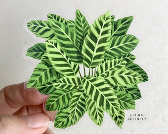 Calathea Zebrina Plant Sticker, Weatherproof Die Cut