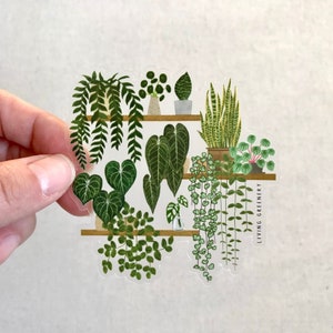 Clear Plants on shelf Sticker, Anthurium crystallinum, Plant Mom, Plant Sticker, Laptop Sticker, Weatherproof Sticker, Water bottle stickers