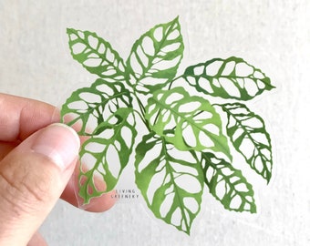 Clear Monstera Obliqua Peru Sticker, House Plant Sticker, Plant Sticker, Weatherproof Sticker, Die Cut Sticker