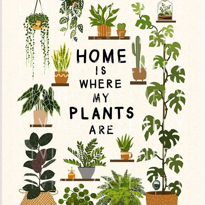 Home is Where My Plants Are House Plant Poster House Plant Etsy UK