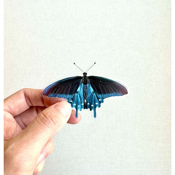 Clear Pipevine Swallowtail Butterfly Weatherproof Die Cut Sticker