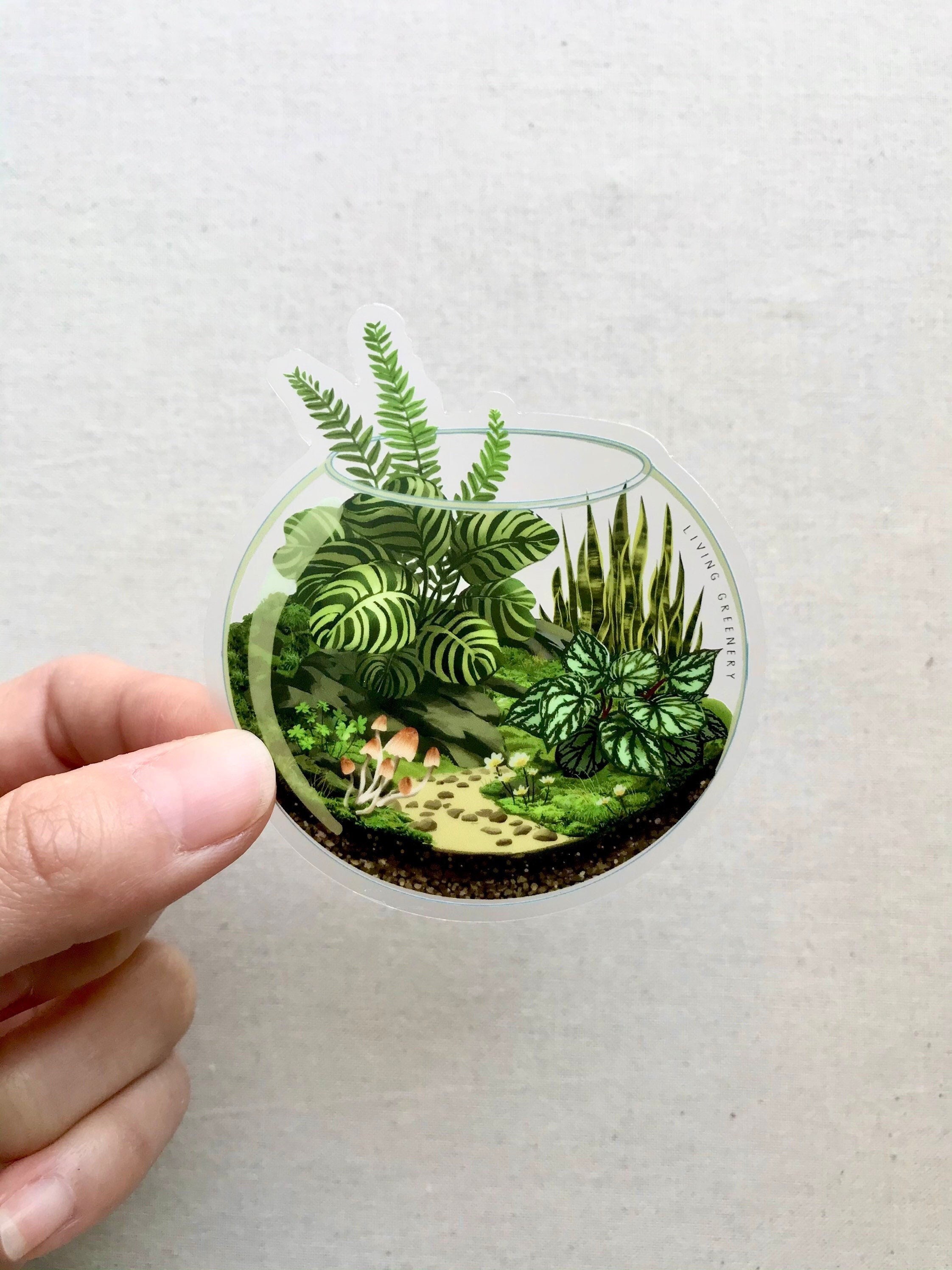 House Plants And Moss Terrarium, Clear Vinyl Die Cut Sticker, Plant Stickers, Moss Terrarium Sticker, Weatherproof Sticker, Laptop Stickers