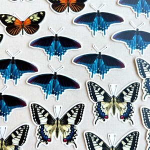 May include: A collection of butterfly stickers in various colors and patterns. The stickers feature detailed illustrations of butterflies with orange, black, blue, yellow, and white wings. The stickers are arranged on a neutral background.