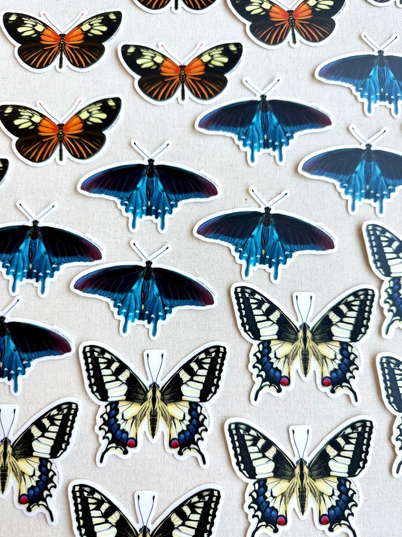 May include: A collection of butterfly stickers in various colors and patterns. The stickers feature detailed illustrations of butterflies with orange, black, blue, yellow, and white wings. The stickers are arranged on a neutral background.