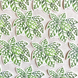 May include: Multiple white stickers with green leaf illustrations. The leaves have a lacy, intricate pattern. The stickers have the text "Living Greenery" printed on them.