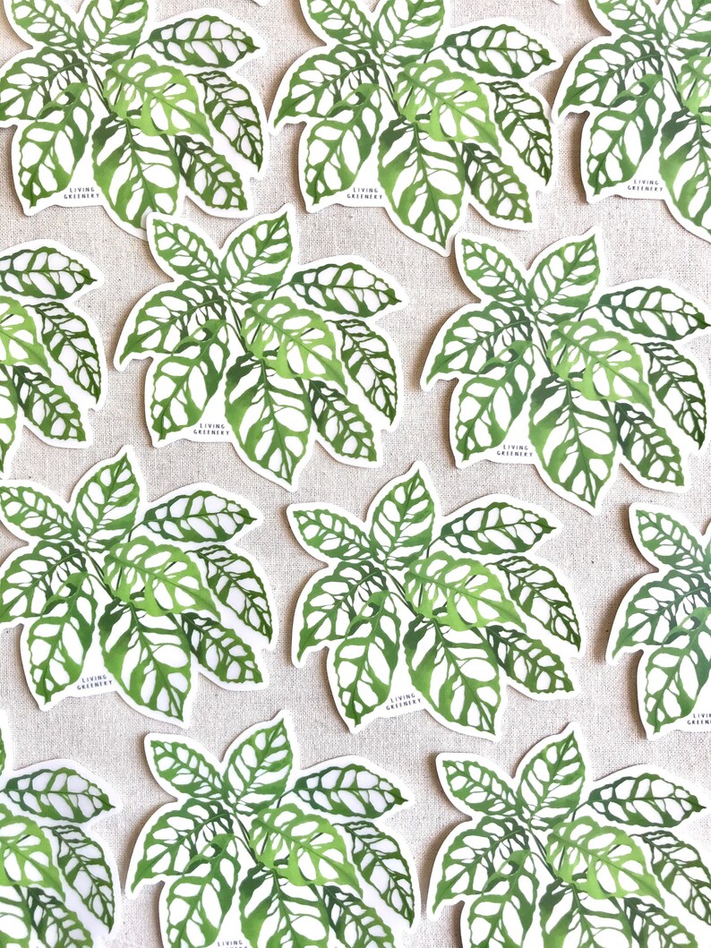 May include: Multiple white stickers with green leaf illustrations. The leaves have a lacy, intricate pattern. The stickers have the text "Living Greenery" printed on them.