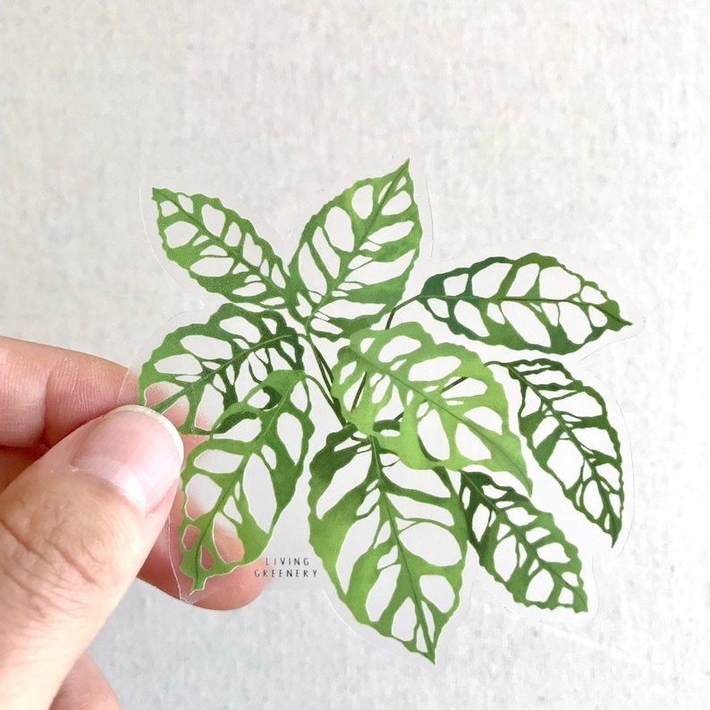 May include: A clear sticker featuring a green Monstera Deliciosa plant with a white background. The sticker has the text "LIVING GREENERY" at the bottom.
