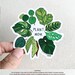 Plant Mom sticker, Glossy Coated vinyl Die Cut Sticker, House Plant Sticker, Plant Sticker, Weatherproof Sticker, Laptop Sticker