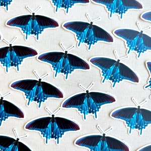 May include: A collection of butterfly stickers. Each sticker features a detailed illustration of a butterfly with vibrant blue wings, dark blue and maroon accents, and delicate antennae. The stickers are arranged on a white surface.