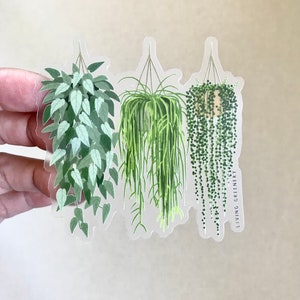 May include: Three clear stickers with illustrations of hanging plants. The plants are a pothos, a spider plant, and a string of pearls. The stickers are labeled "Living Greenery".