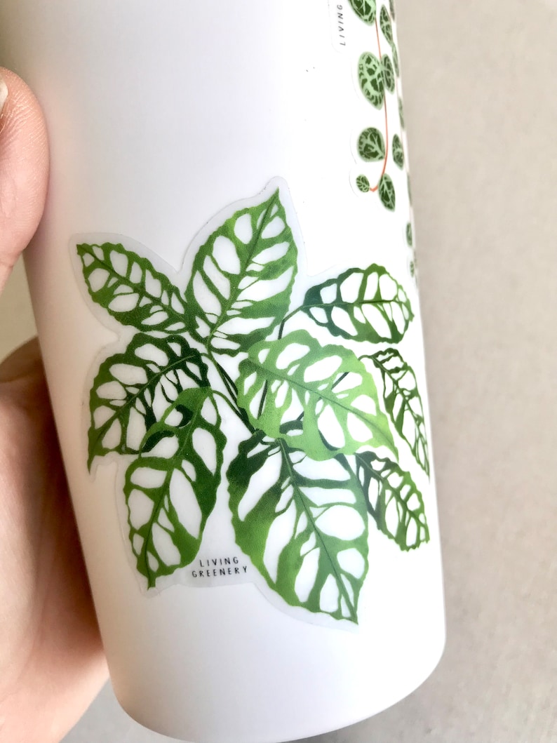May include: A white sticker featuring a green illustration of a plant with large, patterned leaves. The sticker reads "LIVING GREENERY" at the bottom.