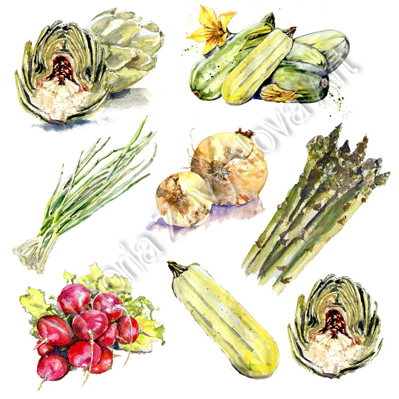Digital clipart elements Sublimation png walldecor Healthy Vegetarian Food Hand painted Watercolor Vegetables Clipart Vegan meal
