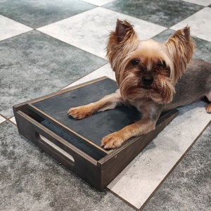 Op de afbeelding: Een kleine bruine en zwarte hond, mogelijk een Yorkshire Terrier, staat op een houten oprit met een zwarte bovenkant. De oprit heeft een handvat aan de zijkant en is ontworpen om huisdieren te helpen op en van meubels te komen.
