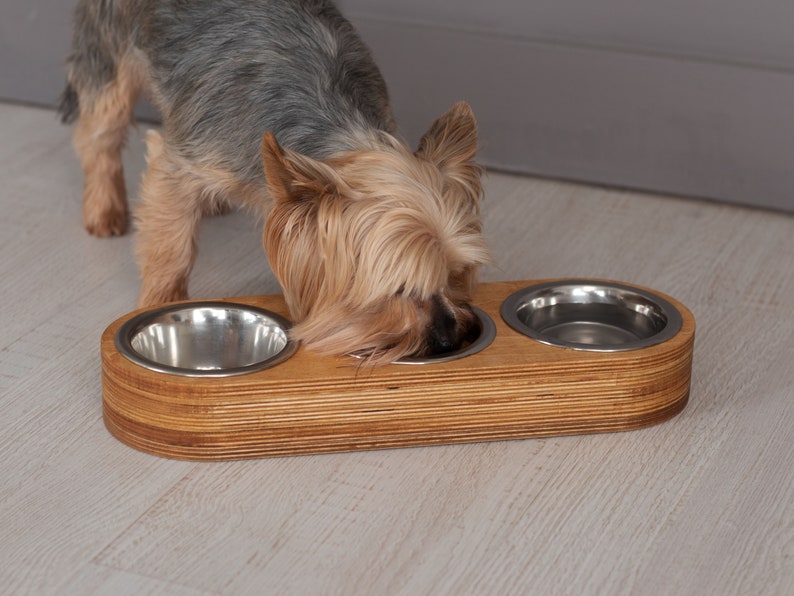 May include: A small dog eats from a wooden elevated dog bowl with three stainless steel bowls. The bowl is made of light brown wood and has a natural wood grain.